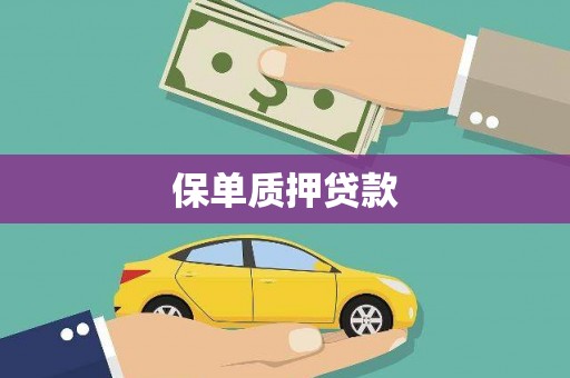 双柏保单质押贷款