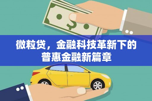 双柏微粒贷，金融科技革新下的普惠金融新篇章