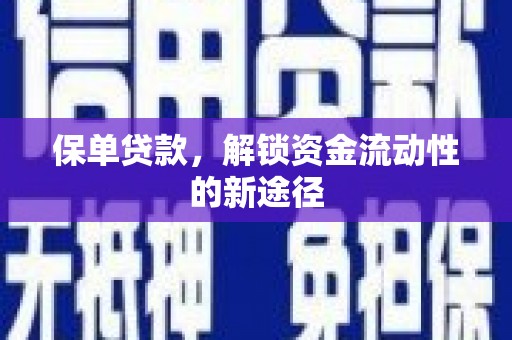 双柏保单贷款，解锁资金流动性的新途径