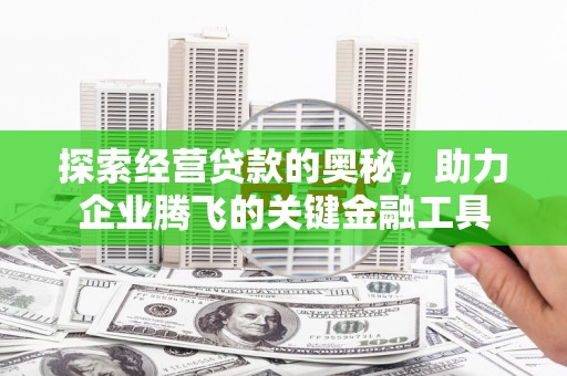 双柏探索经营贷款的奥秘，助力企业腾飞的关键金融工具
