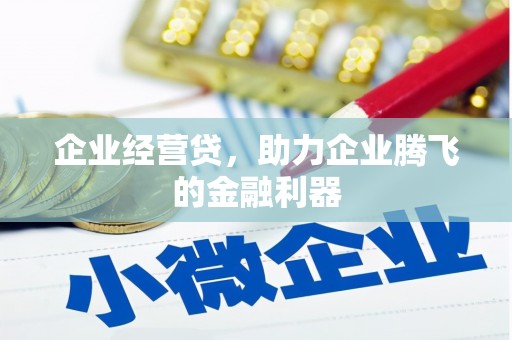 双柏企业经营贷，助力企业腾飞的金融利器
