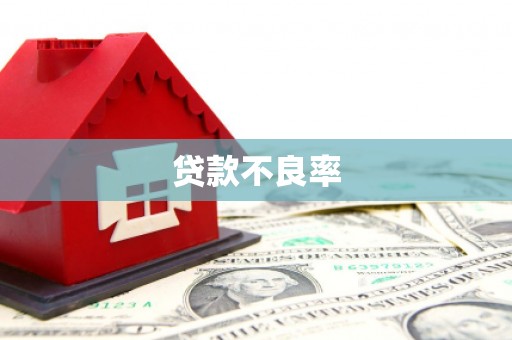 双柏贷款不良率