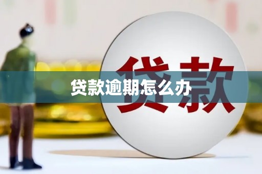 双柏贷款逾期怎么办