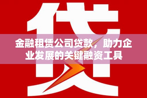 双柏金融租赁公司贷款，助力企业发展的关键融资工具