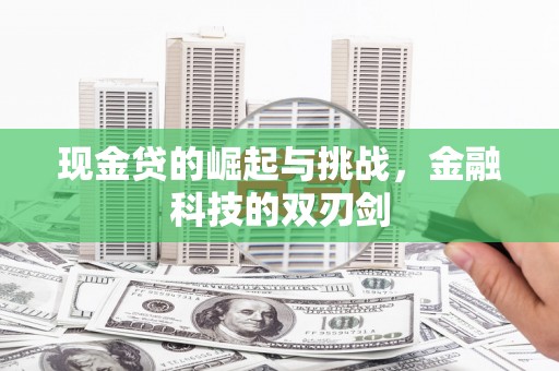 双柏现金贷的崛起与挑战，金融科技的双刃剑
