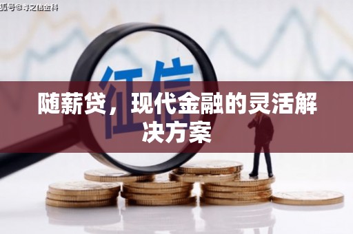 双柏随薪贷，现代金融的灵活解决方案