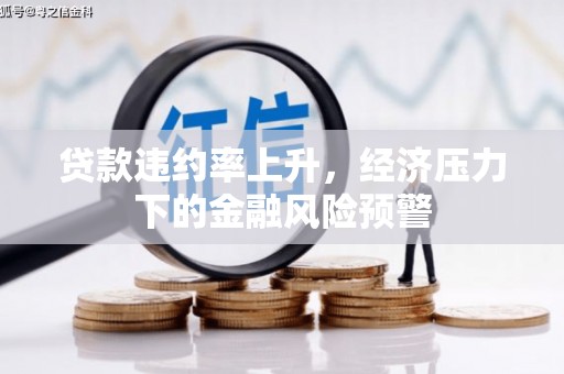 双柏贷款违约率上升，经济压力下的金融风险预警