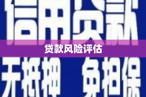 双柏贷款风险评估