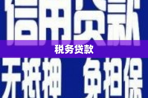 双柏税务贷款