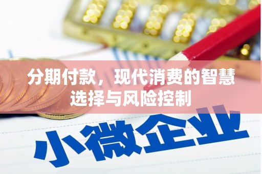 双柏分期付款，现代消费的智慧选择与风险控制