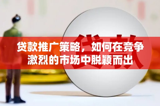 双柏贷款推广策略，如何在竞争激烈的市场中脱颖而出