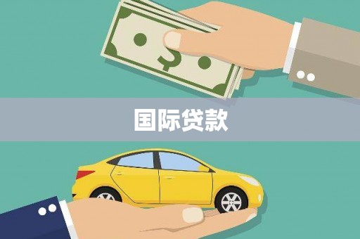 双柏国际贷款