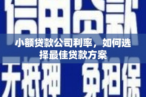 双柏小额贷款公司利率，如何选择最佳贷款方案
