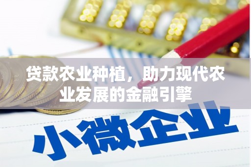 双柏贷款农业种植，助力现代农业发展的金融引擎