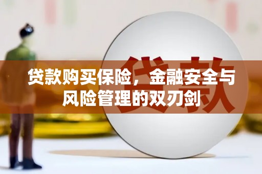 双柏贷款购买保险，金融安全与风险管理的双刃剑