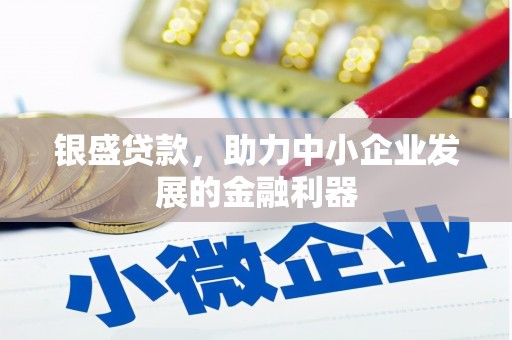 双柏银盛贷款，助力中小企业发展的金融利器