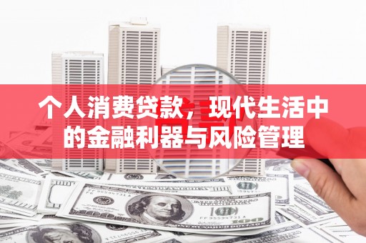 双柏个人消费贷款，现代生活中的金融利器与风险管理