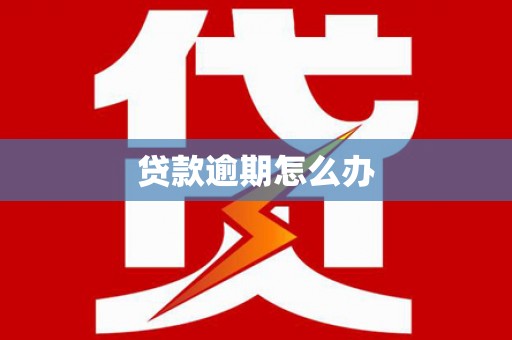 双柏贷款逾期怎么办