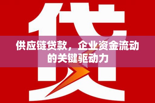 双柏供应链贷款，企业资金流动的关键驱动力