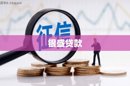 双柏银盛贷款