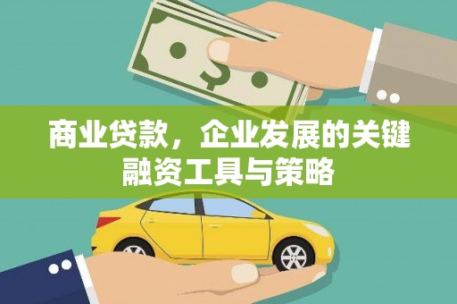 双柏商业贷款，企业发展的关键融资工具与策略