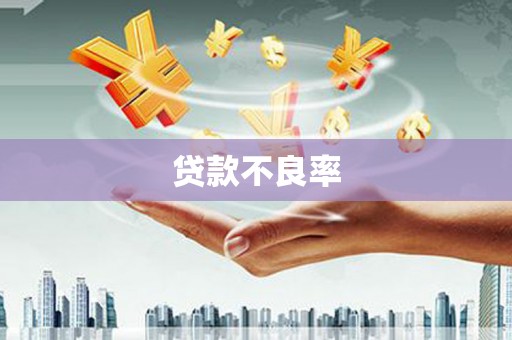 双柏贷款不良率