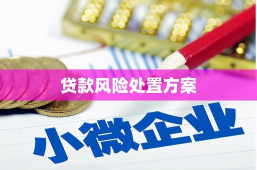 双柏贷款风险处置方案