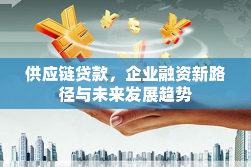 双柏供应链贷款，企业融资新路径与未来发展趋势