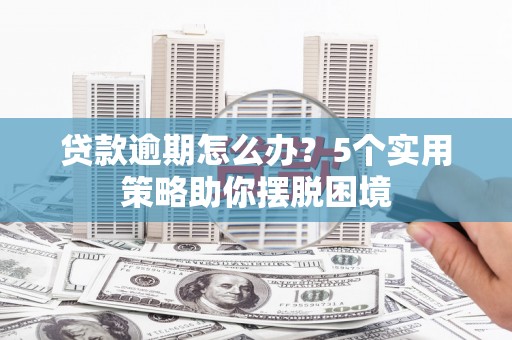 双柏贷款逾期怎么办？5个实用策略助你摆脱困境