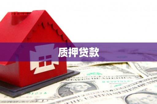 双柏质押贷款