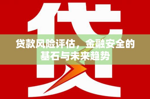 双柏贷款风险评估，金融安全的基石与未来趋势