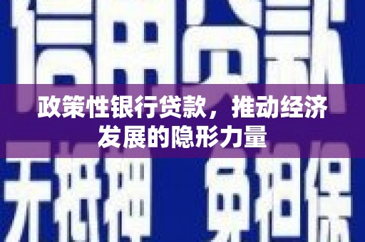 双柏政策性银行贷款，推动经济发展的隐形力量