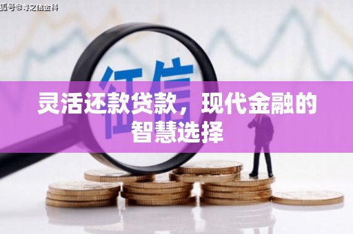 双柏灵活还款贷款，现代金融的智慧选择