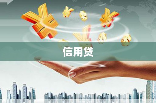 双柏信用贷