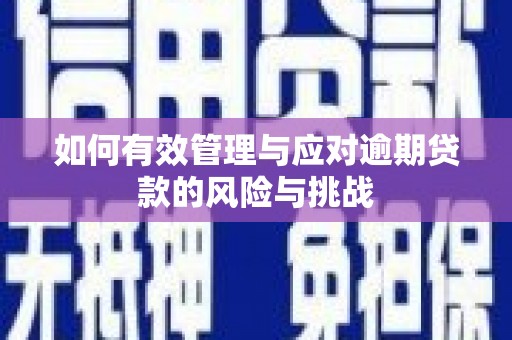 双柏如何有效管理与应对逾期贷款的风险与挑战