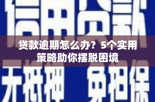 双柏贷款逾期怎么办？5个实用策略助你摆脱困境