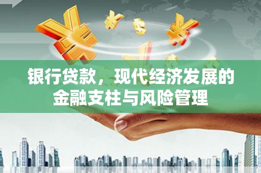 双柏银行贷款，现代经济发展的金融支柱与风险管理