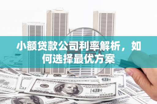 双柏小额贷款公司利率解析，如何选择最优方案