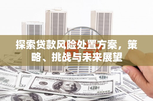 双柏探索贷款风险处置方案，策略、挑战与未来展望