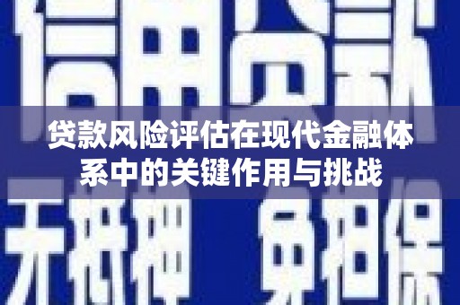 双柏贷款风险评估在现代金融体系中的关键作用与挑战