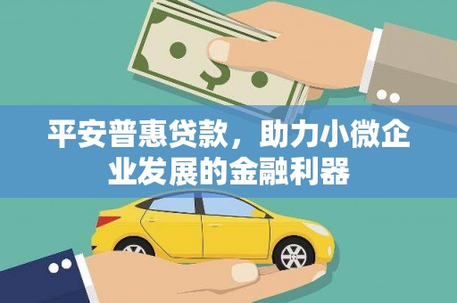 双柏平安普惠贷款，助力小微企业发展的金融利器