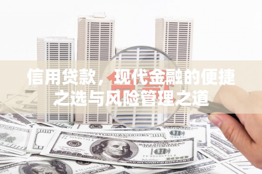 双柏信用贷款，现代金融的便捷之选与风险管理之道