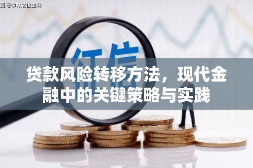 双柏贷款风险转移方法，现代金融中的关键策略与实践