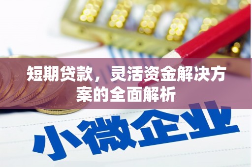 双柏短期贷款，灵活资金解决方案的全面解析