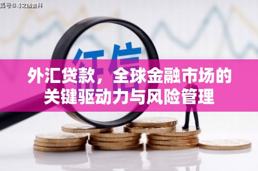 双柏外汇贷款，全球金融市场的关键驱动力与风险管理