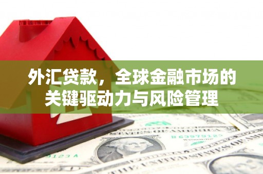双柏外汇贷款，全球金融市场的关键驱动力与风险管理