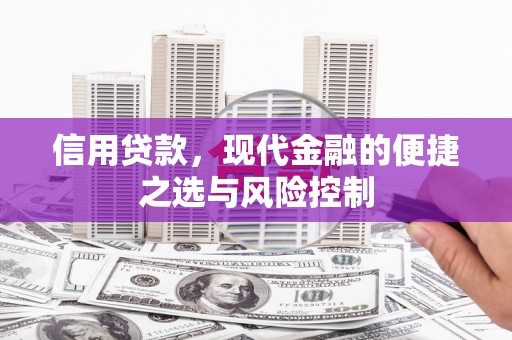 双柏信用贷款，现代金融的便捷之选与风险控制