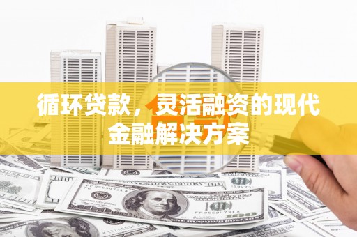 双柏循环贷款，灵活融资的现代金融解决方案