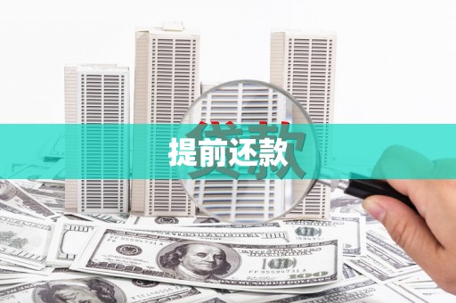 双柏提前还款