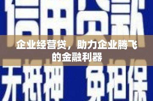 双柏企业经营贷，助力企业腾飞的金融利器